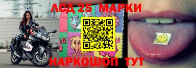эйфоретик Кимры